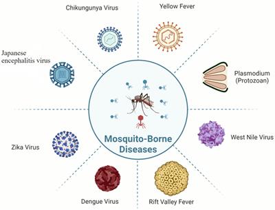 Innovative strategies and challenges mosquito-borne disease control amidst climate change